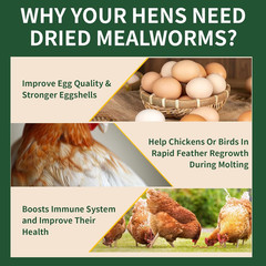 Dried Mealworms 5LB, 100% Natural, Non-Gmo Mealworms for Chickens – High Protein