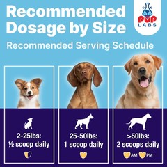 Pup Labs ProDenta, Dog Teeth Cleaning and Dog Breath Freshener, Natural Powde…