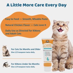 L-Lysine for Cats Oral Paste – Immune & Respiratory Support Felines Brown