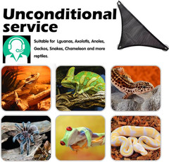 Bearded Dragon Hammock Reptile Hammock for Axolotl,Geckos,Lizards,Breathable Mes