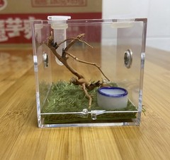 AWXZOM Spider Terrarium, Acrylic Reptile Breeding Box Jumping Clear