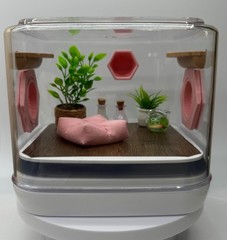 Mini Jumping Spider Enclosure – Pink Paradise Habitat for Pet Spiders