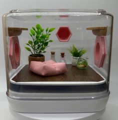 Mini Jumping Spider Enclosure – Pink Paradise Habitat for Pet Spiders