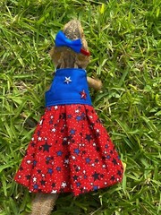 Bearded Dragon Patriotic Dress and Headband