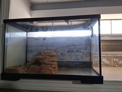 Aquarium Tank Kit Reptile Turtle Frog Lizard Snake Exo Animal Habitat