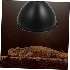 5Pcs Box Lizard Terrarium Lighting Heat Lamp Reflector Easy Install Reptile Habi
