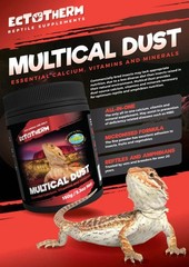 Ectotherm Multical Dust – Calcium, Vitamins & Minerals for Reptiles (150 g)