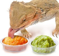 SunGrow Reusable Gecko Food & Water Cups, 50 Pcs, 0.5 Oz Recyclable Clear