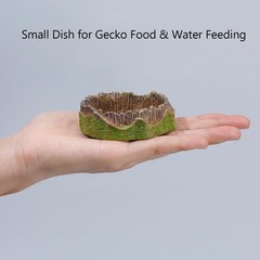 2 Pack Green Small Reptile Feeding Dishes Gecko Food Water Bowls