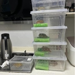JOBEDE 10 Pcs Reptile Feeding Boxs, Plastic Spider Terrariums Breeding Box Fe…