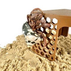Hermit Crab Climbing Toy Corner Stand Cave Tank Decor Hide Platform Pad