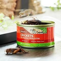 Canned Crickets for Reptiles, Birds & Fish, 1.2 oz
