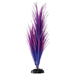 Underwater Treasures Purple Nile Grass Plant Select Size:: 12 inch