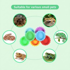 7 Pack Crested Gecko Food Dish and Water Bowl Small Small, Multiple Colors