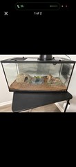 Glass Reptile Terrarium Tank with Lamp, Accessories, and Substrate
