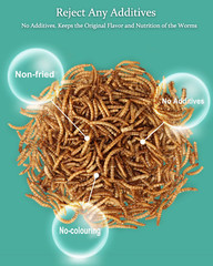 Reptile Food Dried Mealworms Pet Worms Food for Bearded Dragon, Lizard, Turtles,