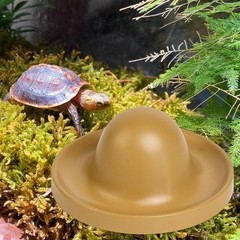 Reptile Feeding Dish Tortoise Food Dish designed for Bearded Dragon Tortoise
