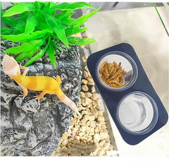 200 pcs 0.5oz Crested Gecko Food and Water Feeding Cups, Reptile Feeder Bowls, f