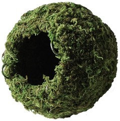 Galpagos 05346 Mossy Cave Hide 4 Inch Green Reptile Terrarium Habitat Decor