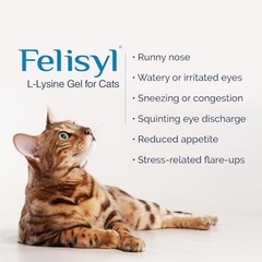 Felisyl L-Lysine Gel for Cats & Kittens (5oz) – Immune System, 1 Pack, Paste