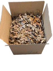 Forest Floor Leaf Litter (3 Sizes!)