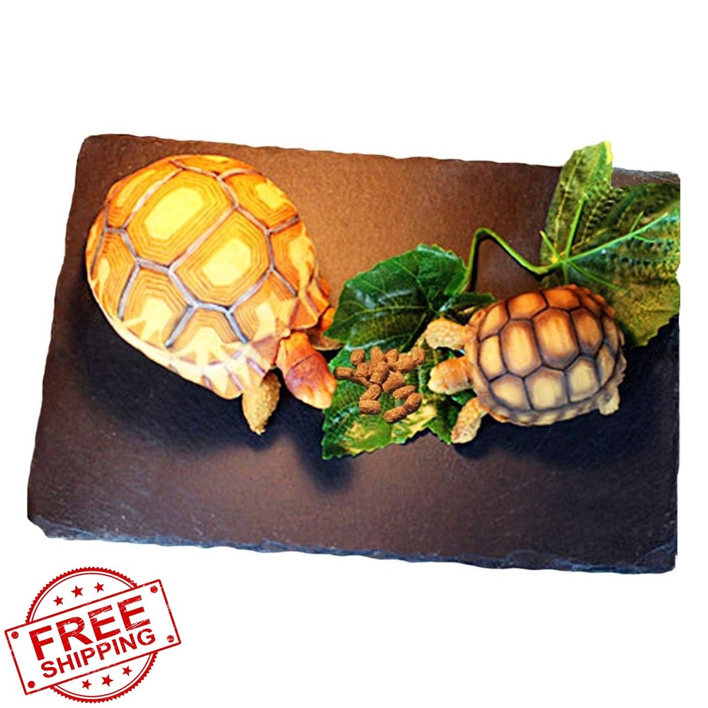 Tfwadmx 16×10 Reptile Basking Platform