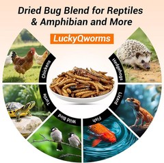 1LBS Bulk Dried Insect Trail Mix Dried Mealworms BSFL Dried Crickets Grasshopper