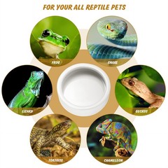 Worm Dish – Large 2 Pcs Reptile Food & Water Bowl for Large-2Pack, White