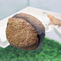 Reptile Tank Accessories – Resin Magnetic Rock Hideout Hermit Crabs & Small