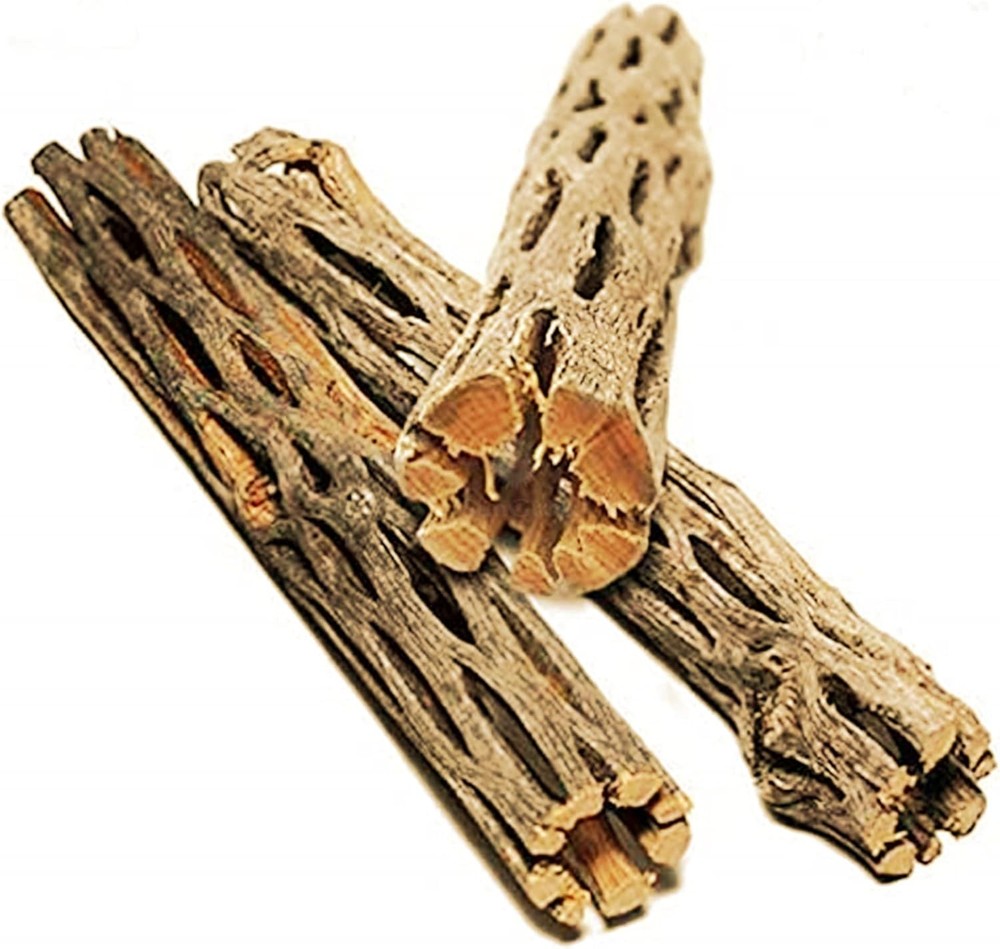 Leopard Gecko Cholla Wood 5 Inches Long Create Basking Spot Artistic Home-Decor