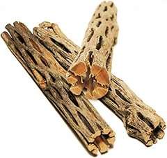 Leopard Gecko Cholla Wood 5 Inches Long Create Basking Spot Artistic Home-Decor