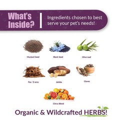 Amber Naturalz Organic Reptaid Reptile Immune System Health Support