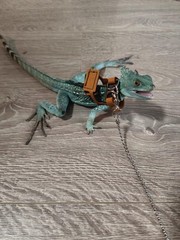 KUNBIUH Bearded Dragon Harness and Leash Adjustable(M,L,XL) – Soft Leather Re…