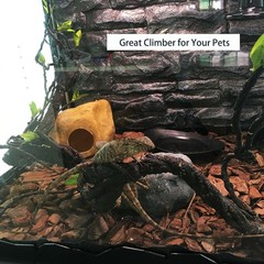 Reptile Plants Plastic Jungle Vines Branches Terrarium Plant for Bearded Dragon