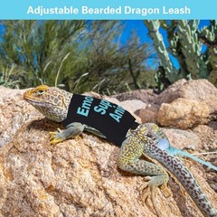Bearded Dragon Harness and Leash Set Adjustable Reptile Lizard Medium, Blue