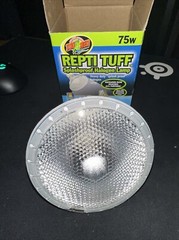 Reptile Lamp And Clamp [NEW]