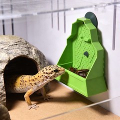 Vivarium Insect Feeder Wall Mount Suction Cup For Live Bait Lizard Small