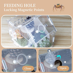 Jumping Spider Enclosure for Small Species, Acrylic Reptile Terrarium Habitat