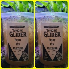 Fruit Fly Culture 8Pack Variety Live Flightless Turkish Gliders Golden and Hydei