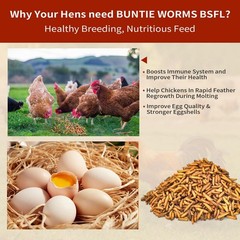 BUNTIE WORMS Dried Black Soldier Fly Larvae 5LB, 5 Pound (Pack of 1), YELLOW
