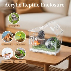 Jumping Spider Enclosure for Small Species, Acrylic Reptile Terrarium Habitat wi