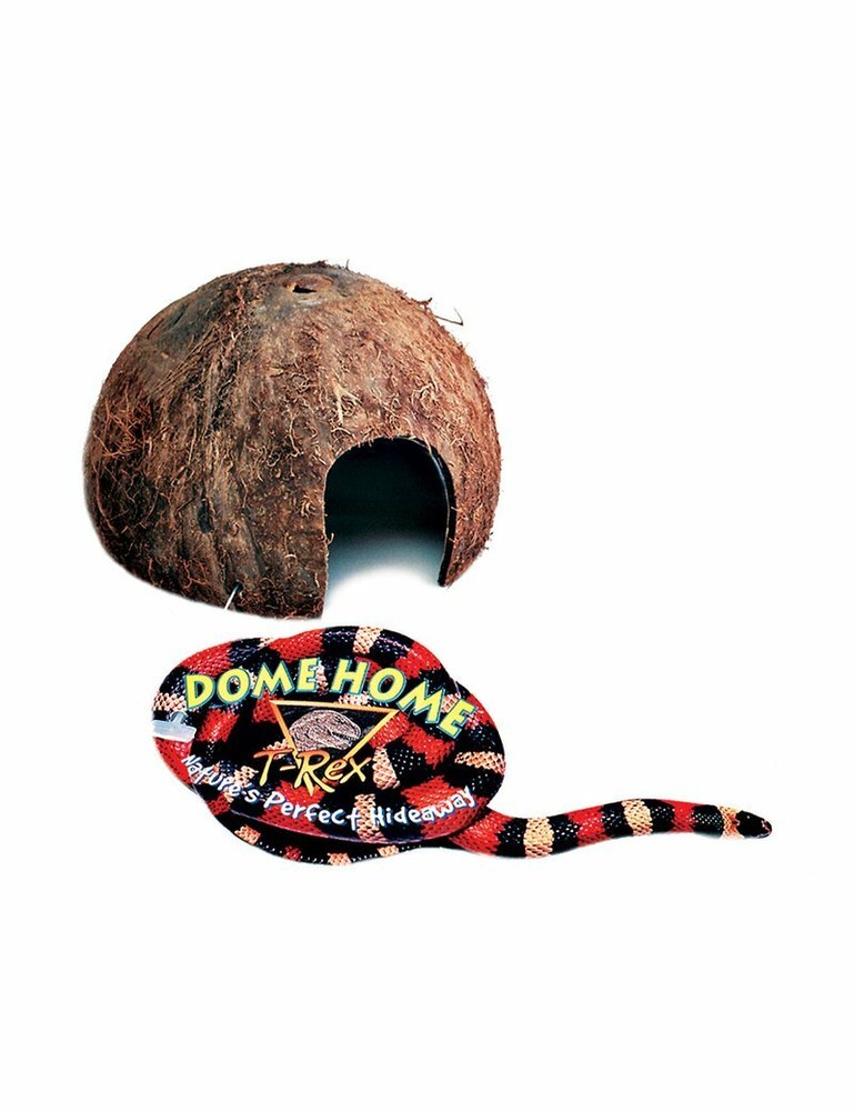 T-Rex ReptileTerrarium Décor – Dome Home