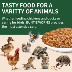 Dried Mealworms 5LB, 100% Natural, Non-Gmo Mealworms for Chickens – High Protein