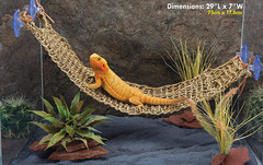 Reptology Lizard Lounger – 100% Natural Seagrass Fiber – Great for Bearded Drago