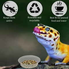 SunGrow Reusable Gecko Food & Water Cups, 100 Pcs, 1 oz. Recyclable Clear