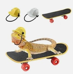 Small Reptile Accessories Engineer Hat & Skateboard Lizard (T4)