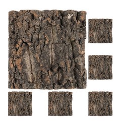 6 Pcs Cork Bark Background Wall Reptile Cage Lizard Enclosure Backdrop