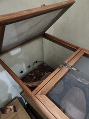 REPTILE TERRARIUM LIBRARY – SIZE: L 80 x D 50 x H 45 Complete