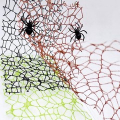 Jumping Spider Enclosure Accessories Climbing Mesh Magnets Reptile Terrarium