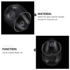 Reptile Feeder Escape Food Box Feeding Basin with Suction Cup Gecko Feeding Box